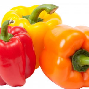 PAPRIKA